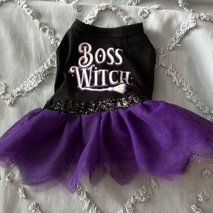 Dress /Skirt for puppy